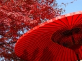紅葉・傘