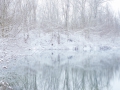 雪景色